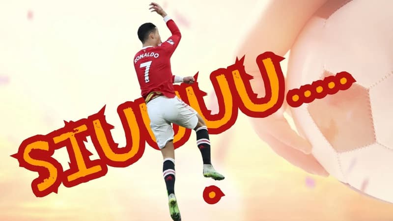 Hồ Sơ ZJD-1MNPIP9: Chờ Nguồn Đối Chiếu