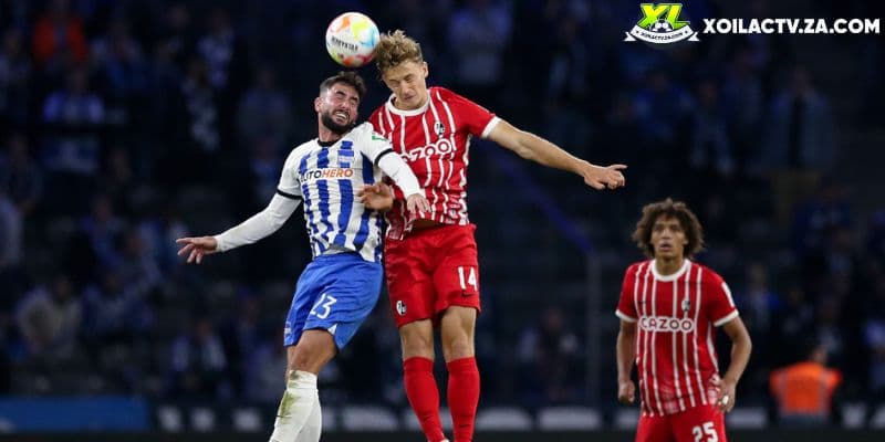 Hồ Sơ YAL-19RB4WF: Chờ Nguồn Đối Chiếu